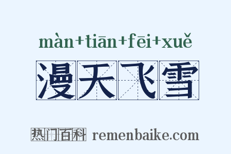 漫天飞雪是什么意思的图片